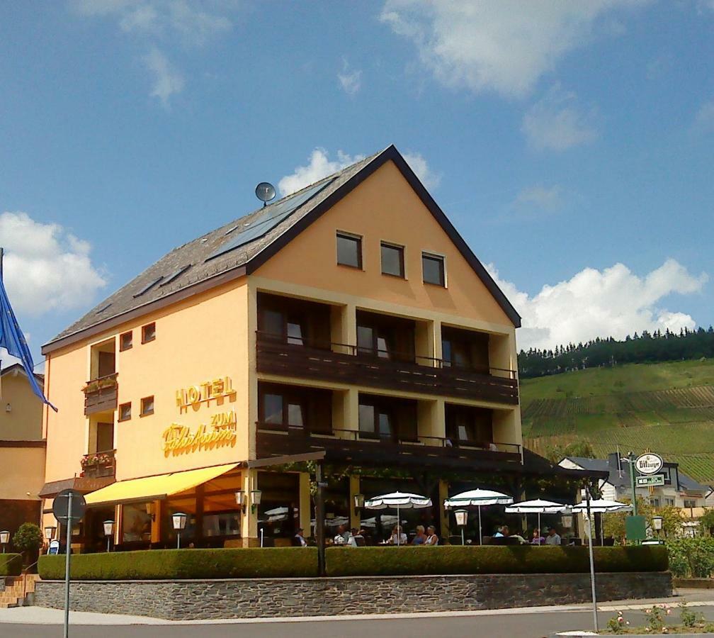 Hotel Zum Faehrturm Mehring  Bagian luar foto